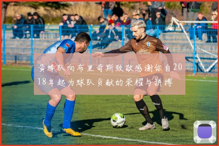 黄蜂队向布里奇斯致敬感谢你自2018年起为球队贡献的荣耀与拼搏